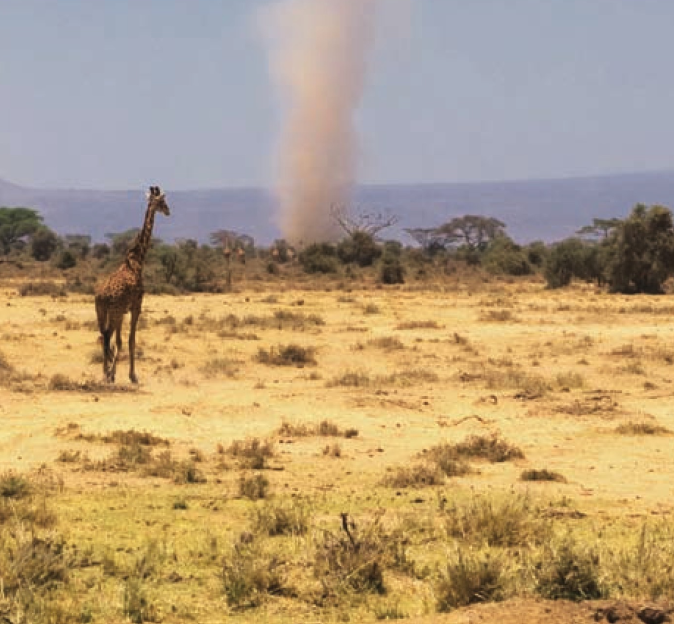 俄罗斯干草原插图1 俄罗斯干草原