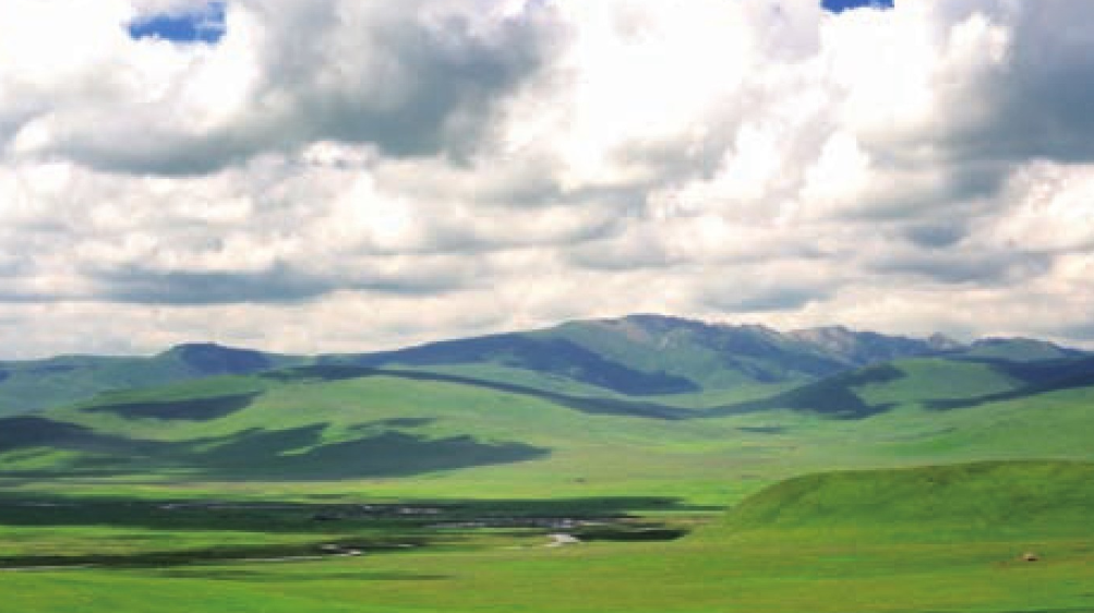 吕讷堡石楠草原插图 吕讷堡石楠草原