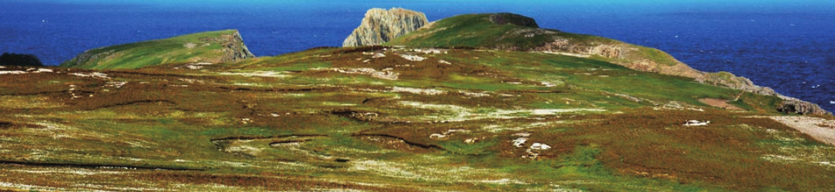 东欧平原插图1 东欧平原