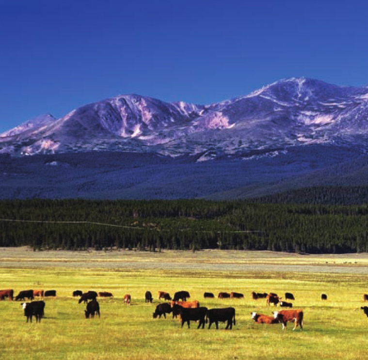 北美大草原插图 北美大草原