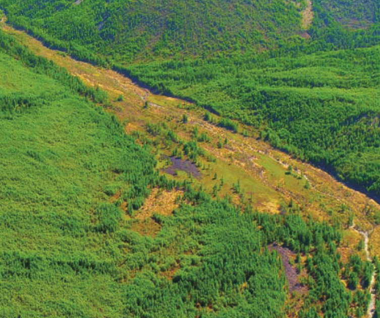 北美大草原插图2 北美大草原