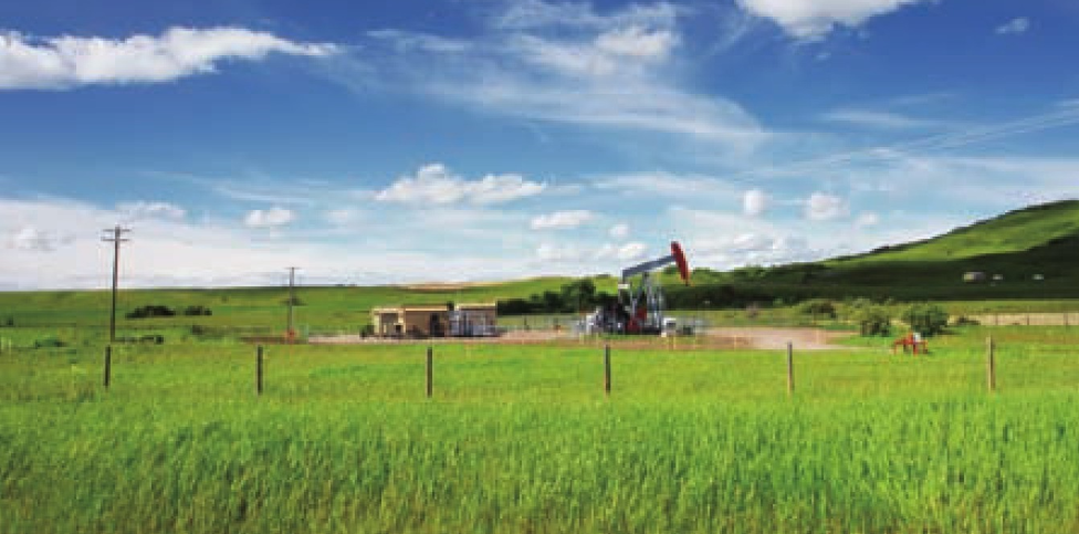 加拿大草原插图 加拿大草原