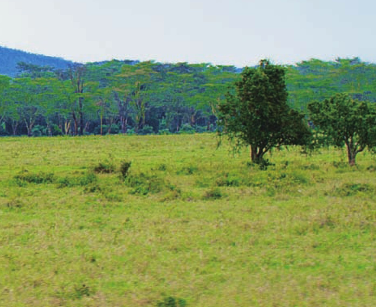 加拿大草原插图2 加拿大草原