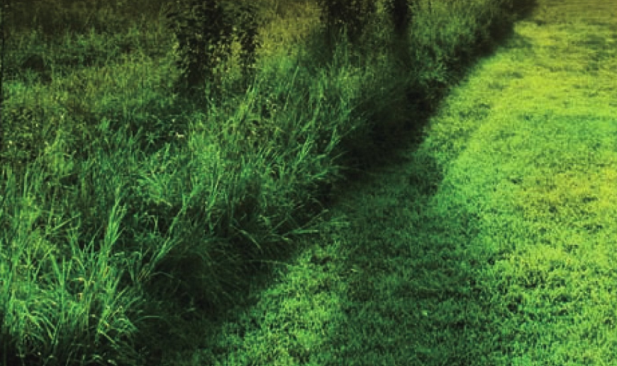 加拿大草原插图3 加拿大草原