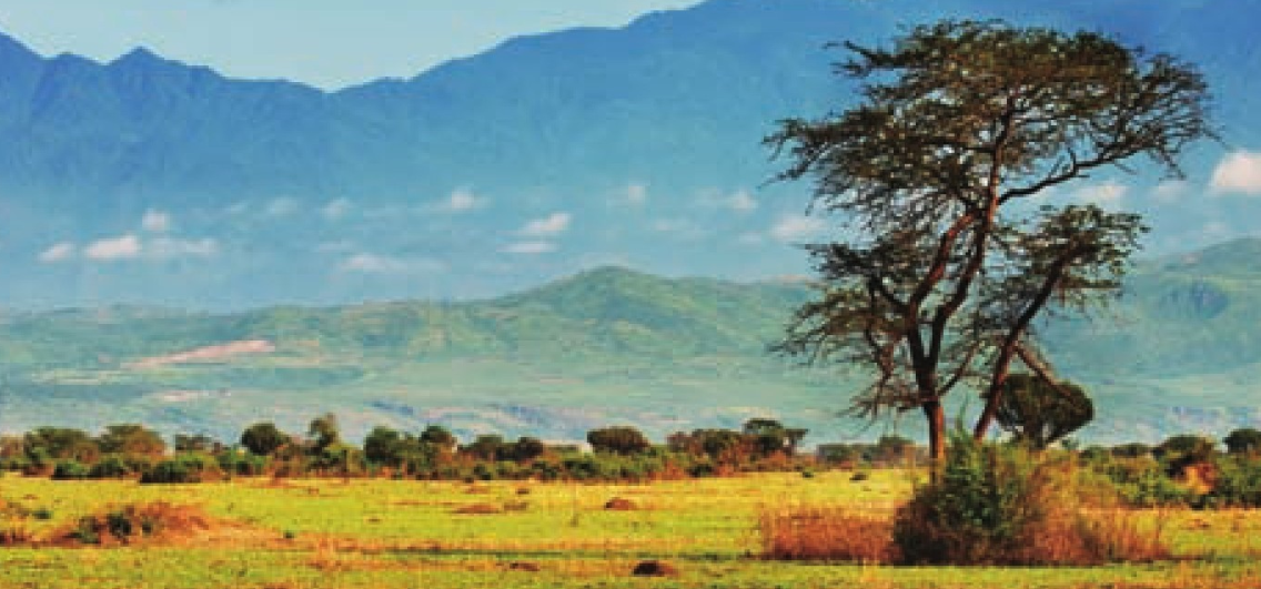 非洲热带草原(干季与湿季交接的草原)插图 非洲热带草原(干季与湿季交接的草原)