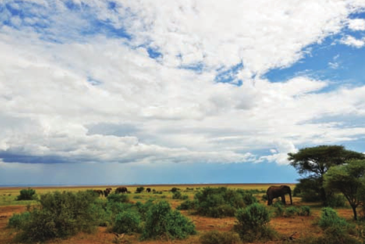 东非大草原插图 东非大草原