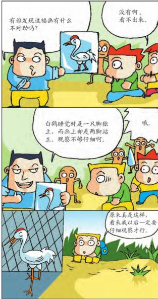 儿童生活习惯养成：细心观察，做一个发现美的人，培养善于观察的习惯