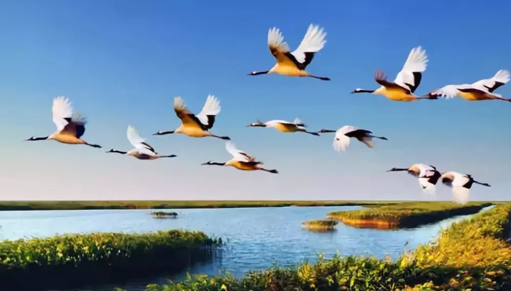 超有趣的动物趣味数学小故事:这6个动物小故事让孩子爱上数学插图2 超有趣的动物趣味数学小故事:这6个动物小故事让孩子爱上数学