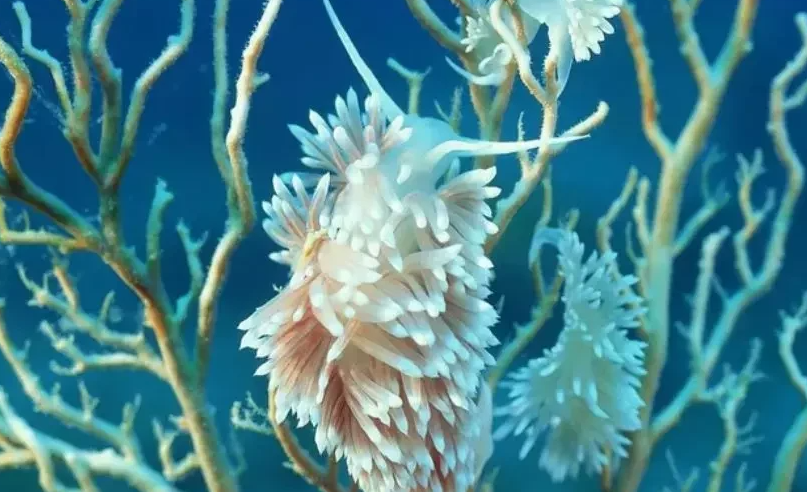 超有趣的动物趣味数学小故事:这6个动物小故事让孩子爱上数学插图3 超有趣的动物趣味数学小故事:这6个动物小故事让孩子爱上数学