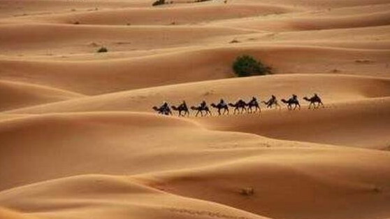 世界最大的沙漠排名,撒哈拉沙漠快抵上我国面积(906万平方公里)插图1 世界最大的沙漠排名,撒哈拉沙漠快抵上我国面积(906万平方公里)