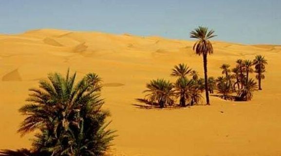 世界最大的沙漠排名,撒哈拉沙漠快抵上我国面积(906万平方公里)插图2 世界最大的沙漠排名,撒哈拉沙漠快抵上我国面积(906万平方公里)