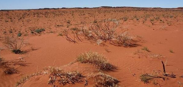 世界最大的沙漠排名,撒哈拉沙漠快抵上我国面积(906万平方公里)插图3 世界最大的沙漠排名,撒哈拉沙漠快抵上我国面积(906万平方公里)