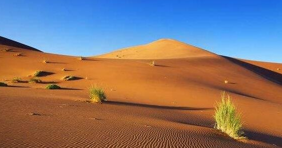 世界最大的沙漠排名,撒哈拉沙漠快抵上我国面积(906万平方公里)插图4 世界最大的沙漠排名,撒哈拉沙漠快抵上我国面积(906万平方公里)