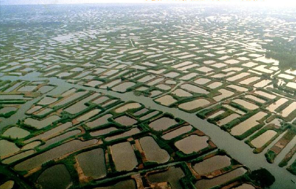 孩子想知道的广东省知识：广东位于岭南，为什么被叫作“广东”？“广”指的哪里？