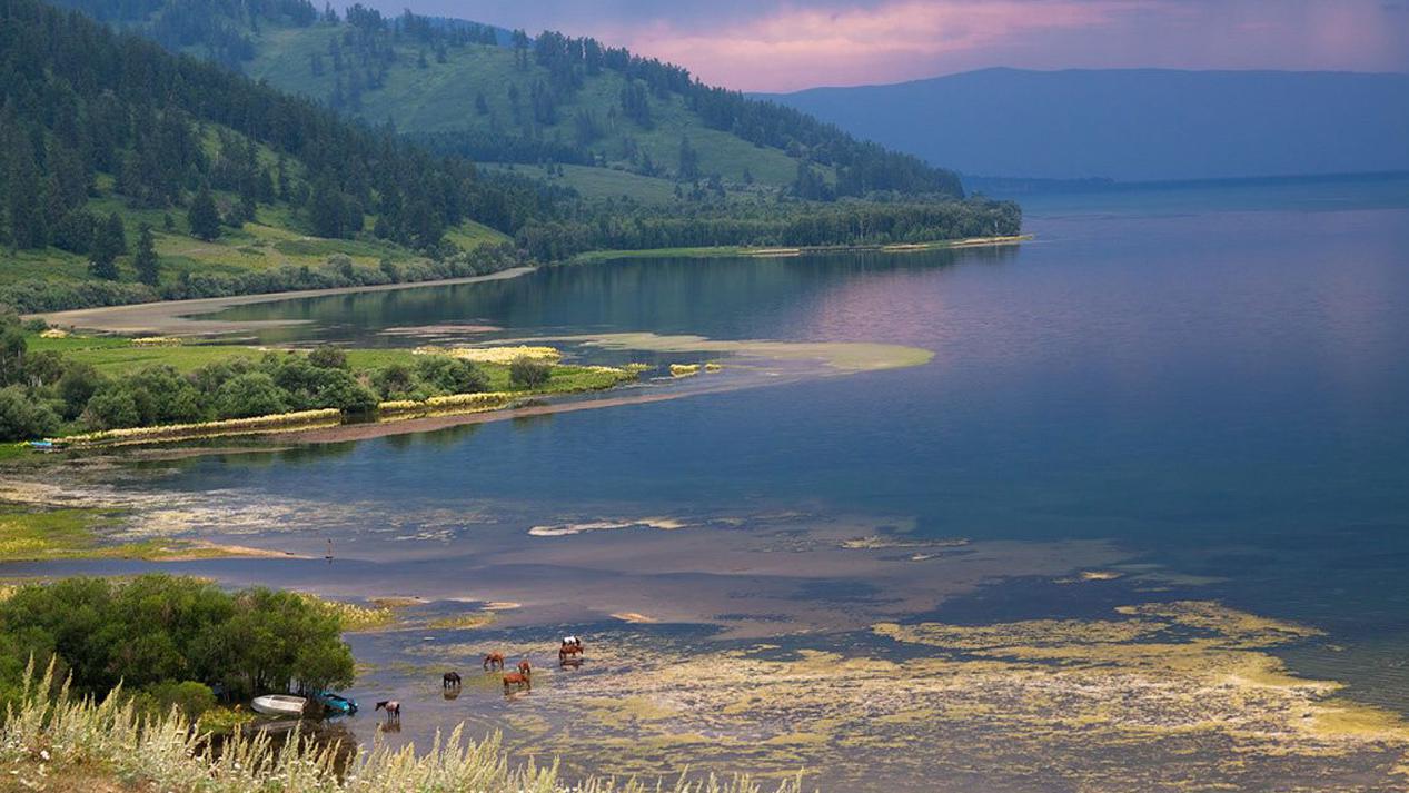 孩子想知道的世界地理知识:伏尔加河、锡尔河和阿姆河,是世界上流程最长的三条内流河插图4 孩子想知道的世界地理知识:伏尔加河、锡尔河和阿姆河,是世界上流程最长的三条内流河