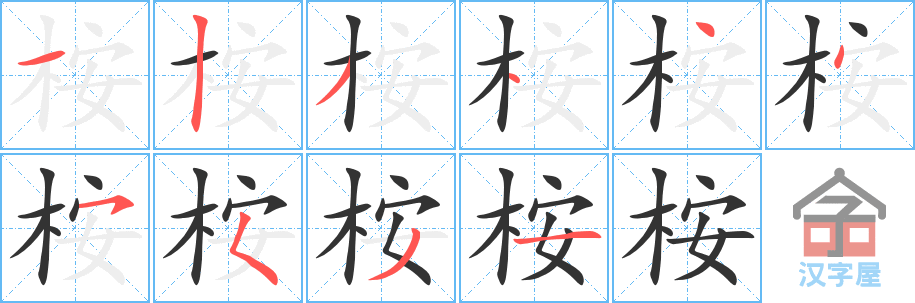 桉的笔顺，桉字怎么写，附笔顺动画