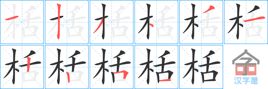 栝的笔顺，栝字怎么写，附笔顺动画