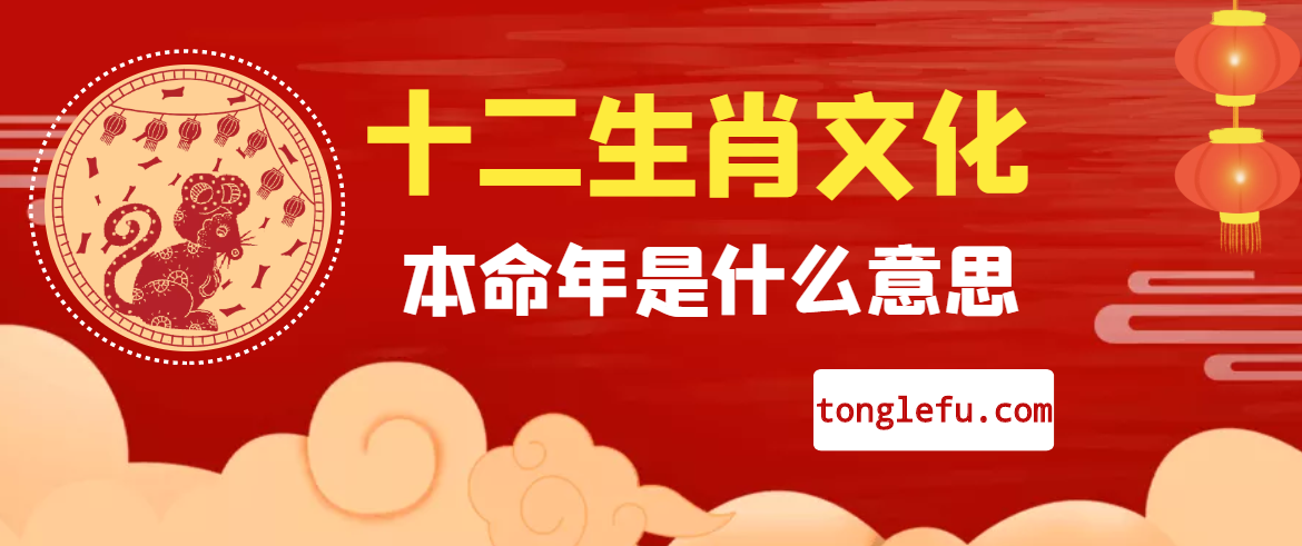 十二生肖文化之生肖本命年是什么意思插图 十二生肖文化之生肖本命年是什么意思