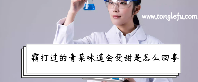 孩子须知的生活中的化学现象:霜打过的青菜味道会变甜是怎么回事