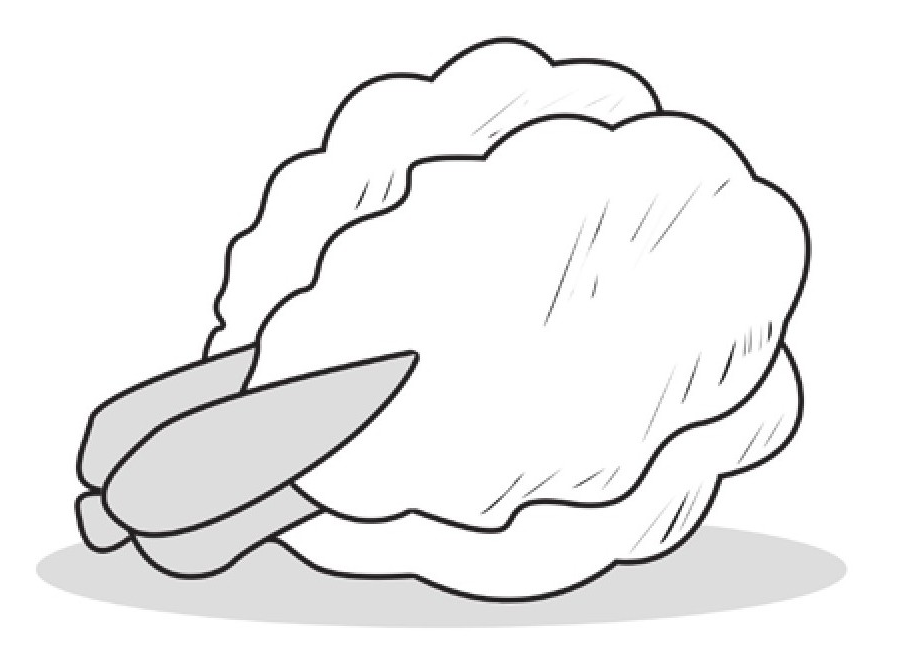 孩子须知的生活中的化学现象：霜打过的青菜味道会变甜是怎么回事