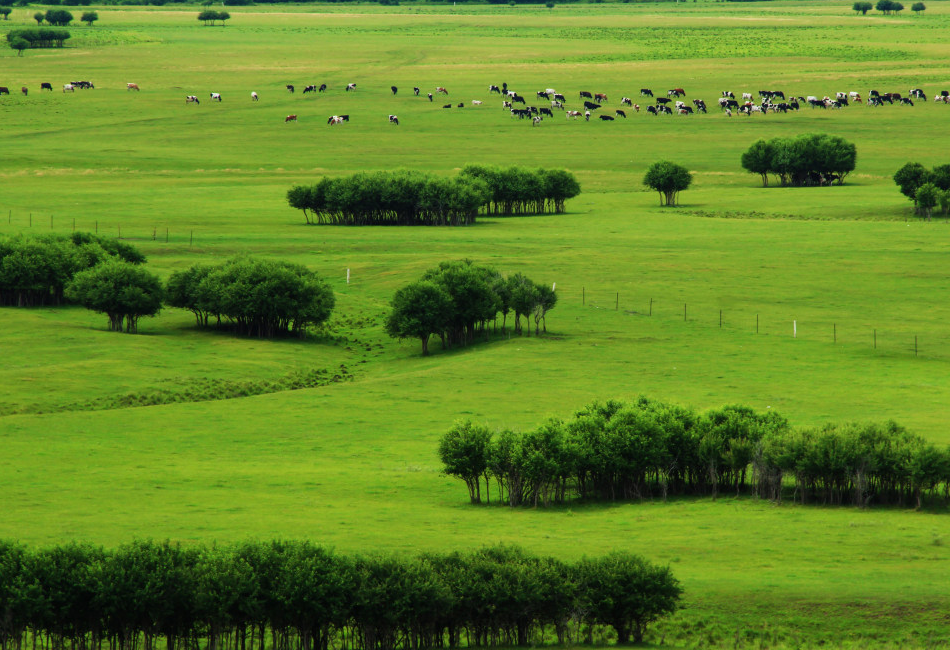 青少年喜欢的趣味地理知识:蒙古国和内蒙古的区别插图11 青少年喜欢的趣味地理知识:蒙古国和内蒙古的区别