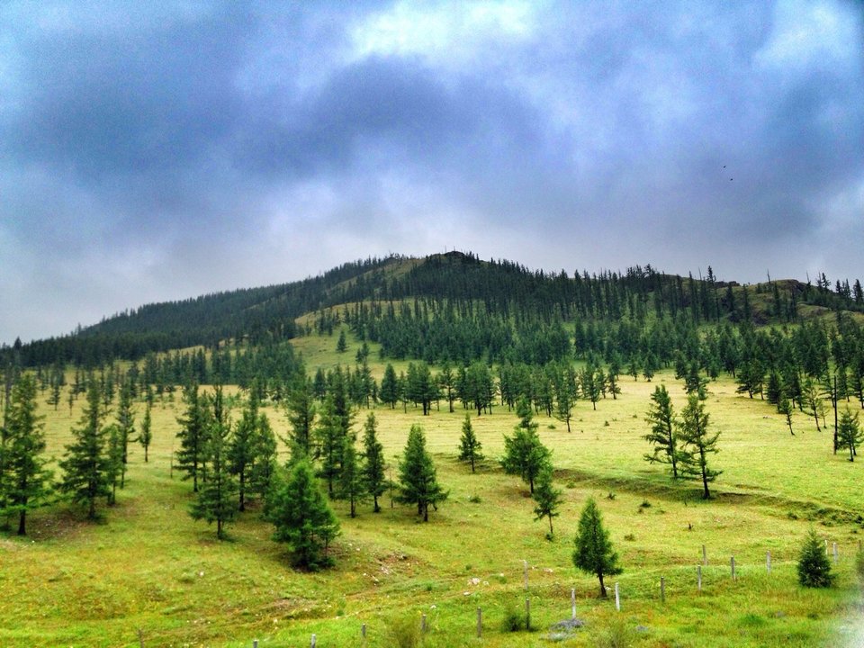 青少年喜欢的趣味地理知识:蒙古国和内蒙古的区别插图12 青少年喜欢的趣味地理知识:蒙古国和内蒙古的区别
