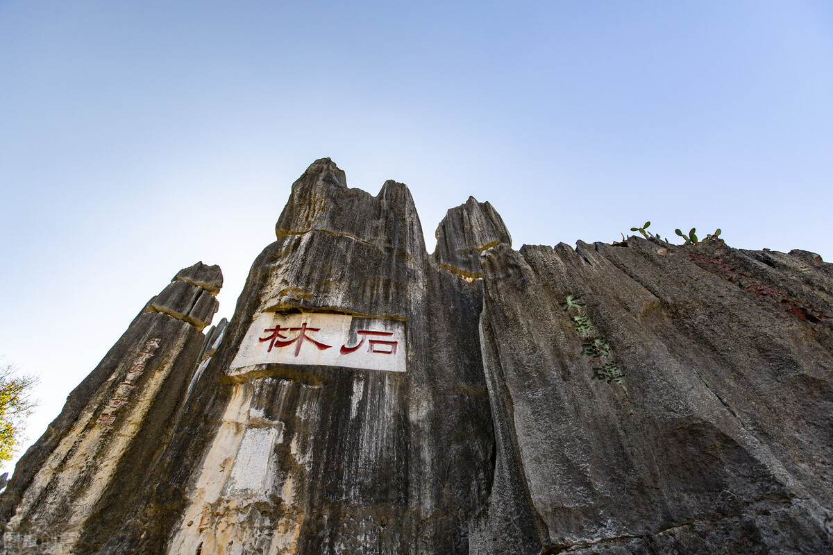 孩子想知道的自然奥秘知识：中国四大自然奇观是哪四大？