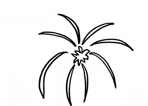 烟花简笔画怎么画简单又漂亮?烟花简笔画图片(附详细步骤、教程)插图1 烟花简笔画怎么画简单又漂亮?烟花简笔画图片(附详细步骤、教程)