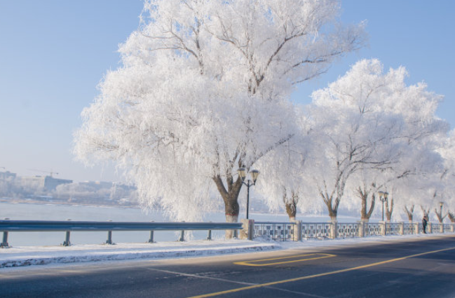 孩子想知道的自然奥秘知识：雾凇的形成原因？