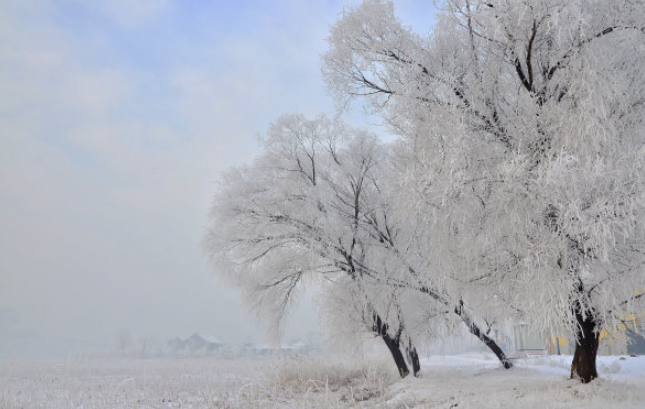 孩子想知道的自然奥秘知识：雾凇的形成原因？