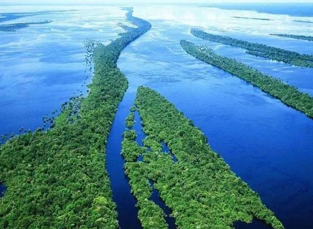 世界流域最广的河流是哪条河？亚马孙河