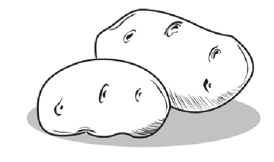 孩子须知的生活中的化学(水垢的主要成分):如何轻松去除讨厌的水垢插图1 孩子须知的生活中的化学(水垢的主要成分):如何轻松去除讨厌的水垢