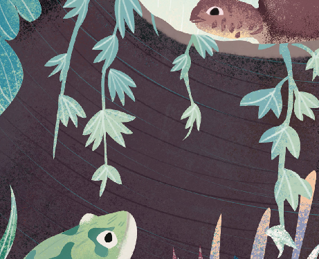 「成语故事」井底之蛙