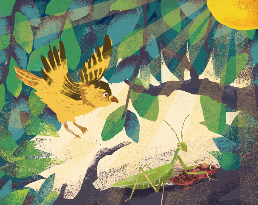 「成语故事」螳螂捕蝉,黄雀在后插图 「成语故事」螳螂捕蝉,黄雀在后