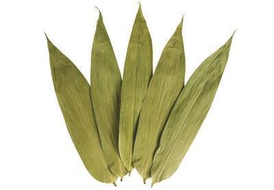 孩子好奇爱问的植物知识科普：粽子叶是什么植物的叶子？（端午节百科）