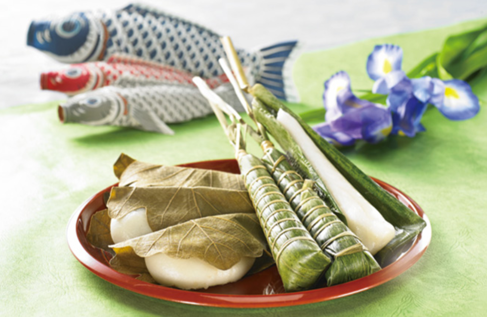 孩子好奇爱问的植物知识科普：粽子叶是什么植物的叶子？（端午节百科）