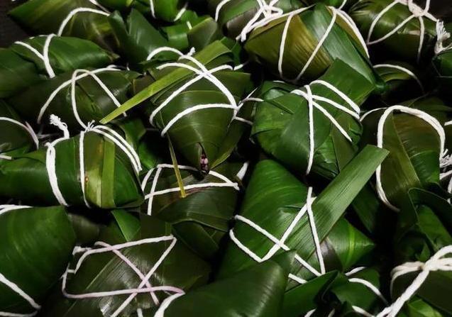 孩子好奇爱问的植物知识科普：粽子叶是什么植物的叶子？（端午节百科）