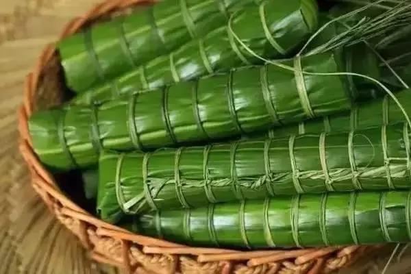 孩子好奇爱问的植物知识科普：粽子叶是什么植物的叶子？（端午节百科）