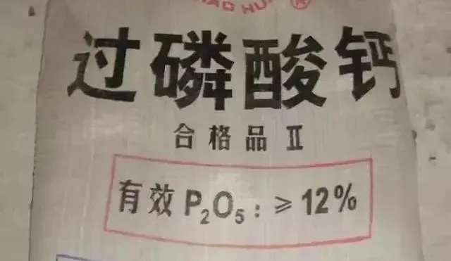 蓝藻知识科普:蓝藻爆发的原因及治理方法?插图5 蓝藻知识科普:蓝藻爆发的原因及治理方法?