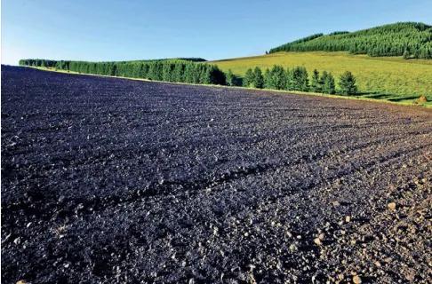 中国三大平原是哪三个,中国三大平原分布图插图3 中国三大平原是哪三个,中国三大平原分布图