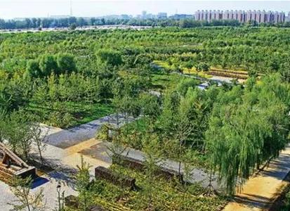 中国三大平原是哪三个,中国三大平原分布图插图8 中国三大平原是哪三个,中国三大平原分布图