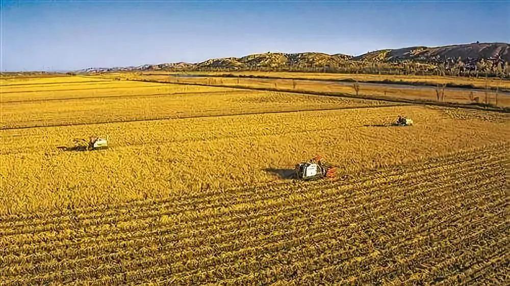 中国三大平原是哪三个,中国三大平原分布图插图9 中国三大平原是哪三个,中国三大平原分布图