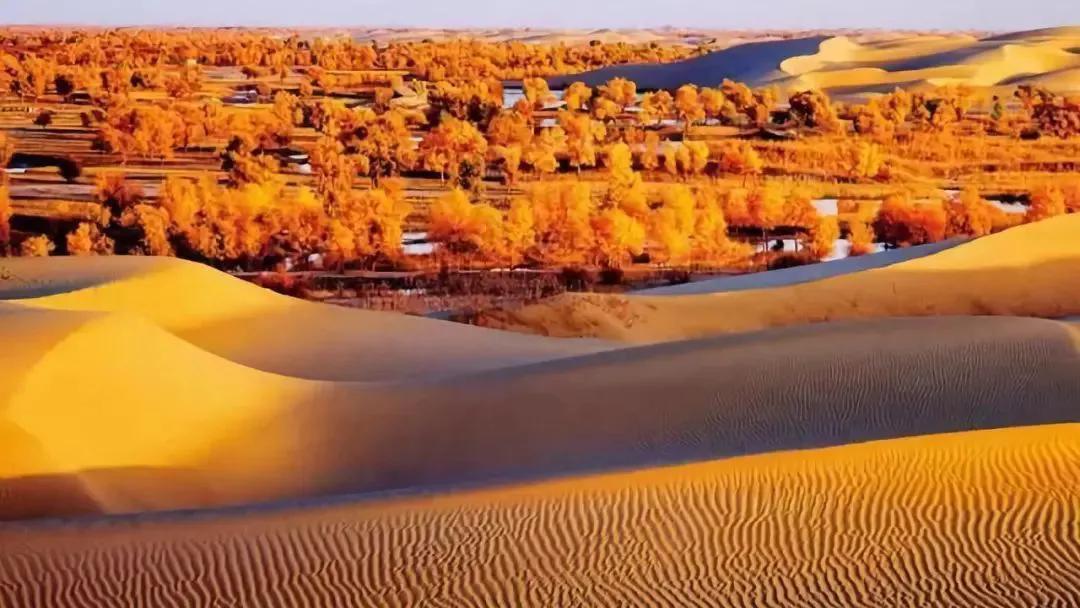 中国四大盆地是哪四个,中国四大盆地分布图插图1 中国四大盆地是哪四个,中国四大盆地分布图