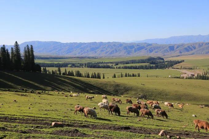 中国四大盆地是哪四个,中国四大盆地分布图插图6 中国四大盆地是哪四个,中国四大盆地分布图