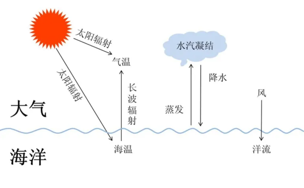 孩子想知道的海洋知识:太平洋有多大?太平洋的真实总面积超乎想象,相当于20个中国插图7 孩子想知道的海洋知识:太平洋有多大?太平洋的真实总面积超乎想象,相当于20个中国