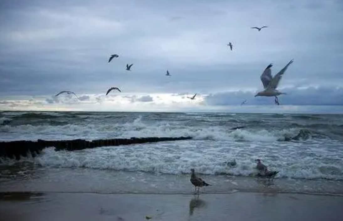 孩子想知道的海洋知识:太平洋有多大?太平洋的真实总面积超乎想象,相当于20个中国插图18 孩子想知道的海洋知识:太平洋有多大?太平洋的真实总面积超乎想象,相当于20个中国