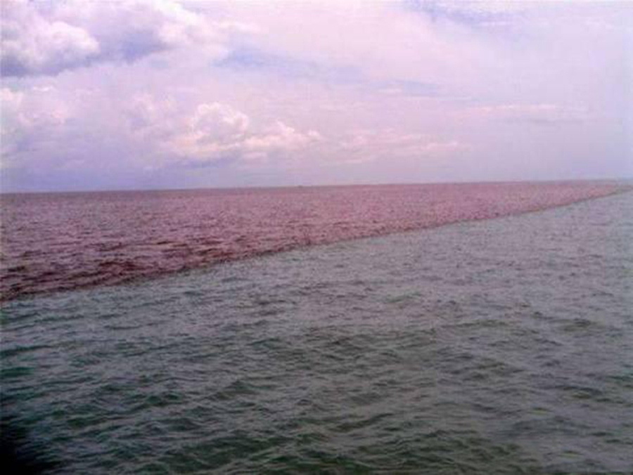 孩子想知道的海洋知识:为什么太平洋和大西洋间,会有明显的分界线?难道海水不混合吗?插图7 孩子想知道的海洋知识:为什么太平洋和大西洋间,会有明显的分界线?难道海水不混合吗?