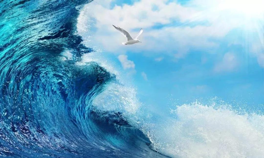 孩子想知道的海洋知识：海浪是怎么形成的？世界上最高的海浪在哪里？