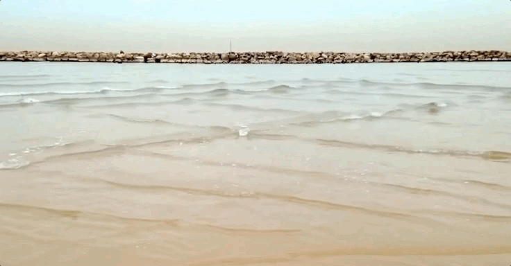 孩子想知道的海洋知识:海洋为什么会出现方格子海浪?插图3 孩子想知道的海洋知识:海洋为什么会出现方格子海浪?