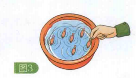 简单的儿童物理小实验：小鱼一起游【磁化现象】